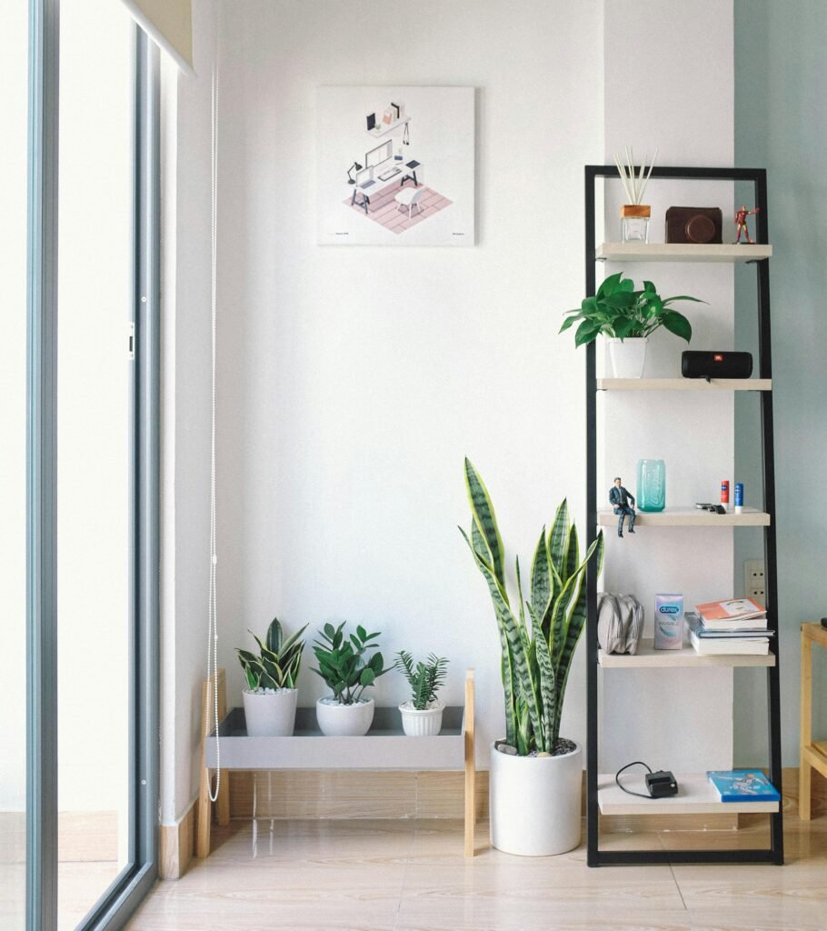 pexels-photo-2826787-2826787 Bright, modern interior with minimal decor, featuring lush houseplants, shelving, and natural light.